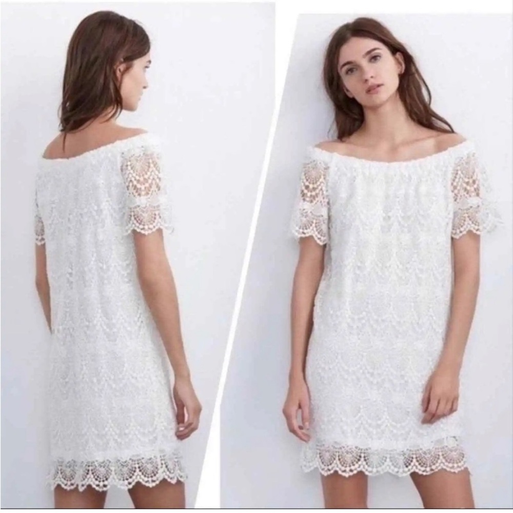 Velvet by Graham & Spencer Cream Lace Mini Dress